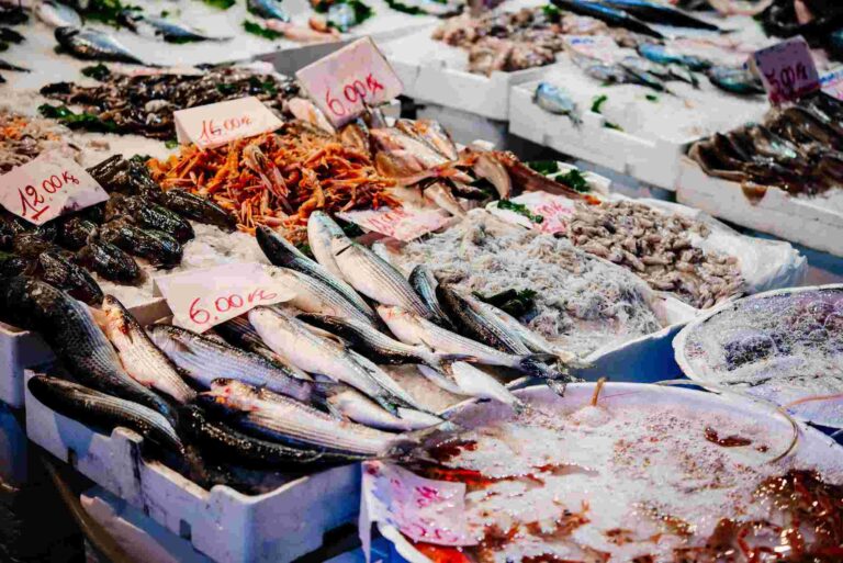 10+3 vissoorten die de basis vormen voor Italiaanse visgerechten